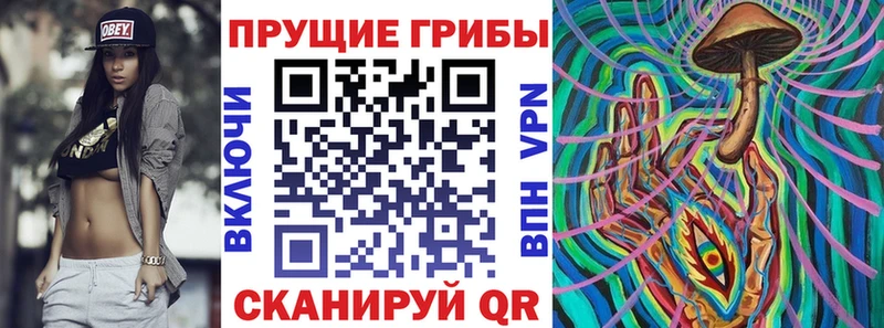 дарк нет официальный сайт  Пестово  Галлюциногенные грибы Psilocybe 