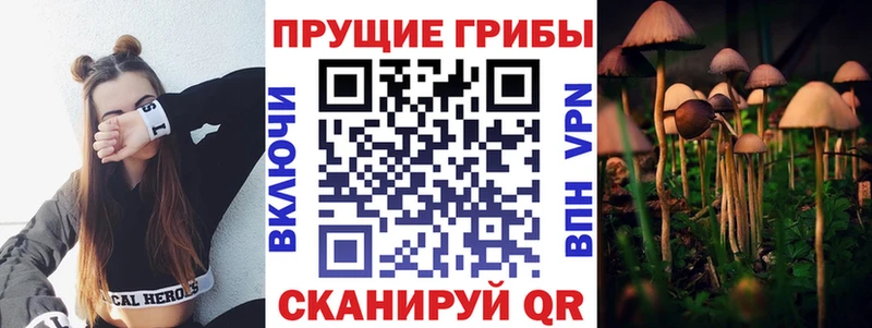 Галлюциногенные грибы Psilocybe Пестово